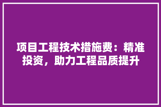 项目工程技术措施费：精准投资，助力工程品质提升 室内设计