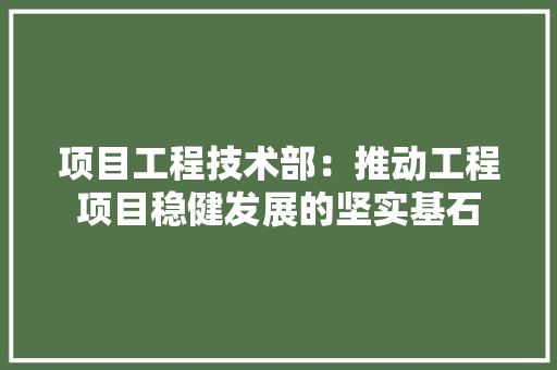 项目工程技术部：推动工程项目稳健发展的坚实基石 室内设计