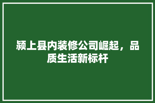 颍上县内装修公司崛起，品质生活新标杆