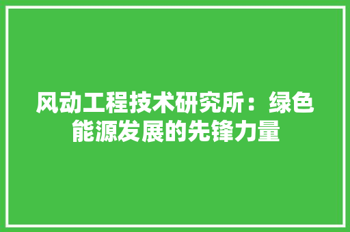 风动工程技术研究所：绿色能源发展的先锋力量