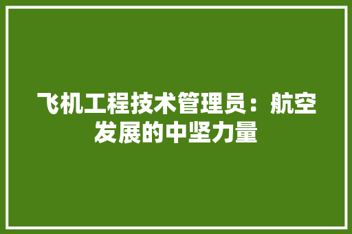 飞机工程技术管理员：航空发展的中坚力量 室内设计