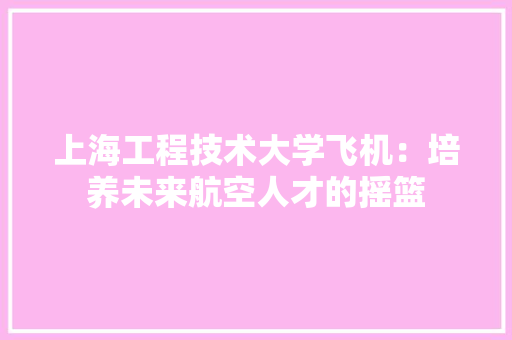 上海工程技术大学飞机：培养未来航空人才的摇篮 地板材料