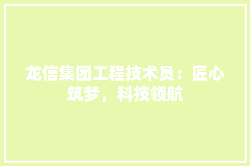 龙信集团工程技术员：匠心筑梦，科技领航