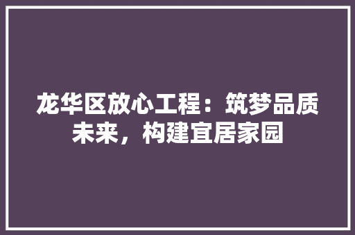 龙华区放心工程：筑梦品质未来，构建宜居家园