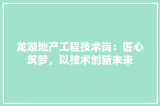 龙湖地产工程技术岗：匠心筑梦，以技术创新未来