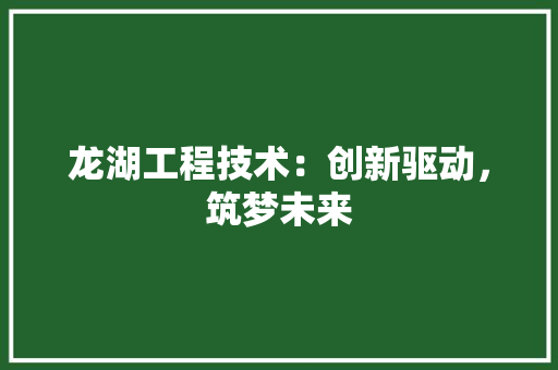 龙湖工程技术：创新驱动，筑梦未来