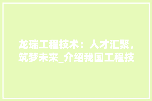 龙瑞工程技术：人才汇聚，筑梦未来_介绍我国工程技术领域的璀璨明珠