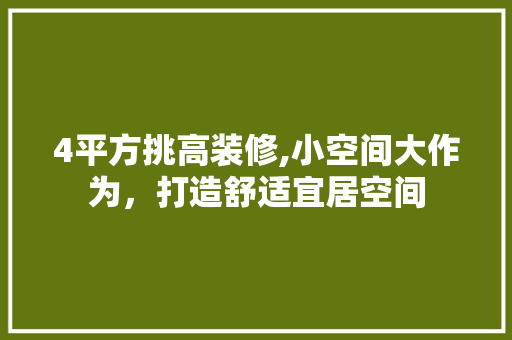 4平方挑高装修,小空间大作为，打造舒适宜居空间 中式风格装饰