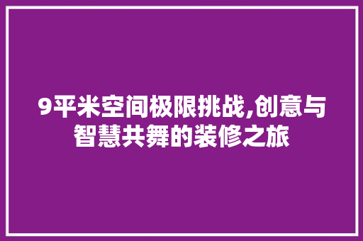 9平米空间极限挑战,创意与智慧共舞的装修之旅 现代风格装饰