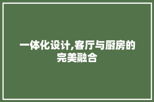 一体化设计,客厅与厨房的完美融合 客厅装修