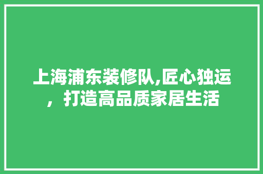 上海浦东装修队,匠心独运，打造高品质家居生活 客厅装修