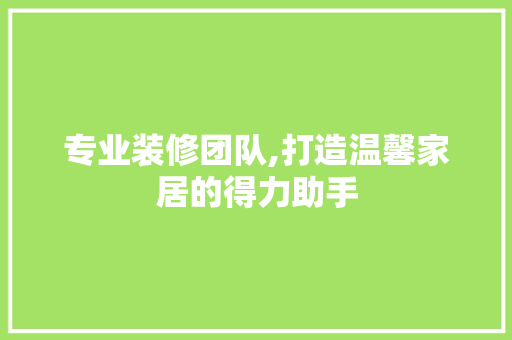 专业装修团队,打造温馨家居的得力助手