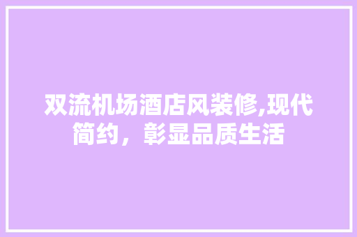 双流机场酒店风装修,现代简约，彰显品质生活