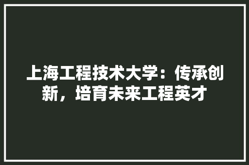 上海工程技术大学：传承创新，培育未来工程英才 地板材料