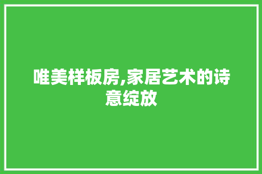 唯美样板房,家居艺术的诗意绽放 家居装修
