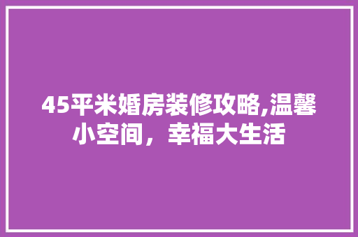 45平米婚房装修攻略,温馨小空间，幸福大生活 现代风格装饰