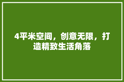 4平米空间，创意无限，打造精致生活角落 软装设计