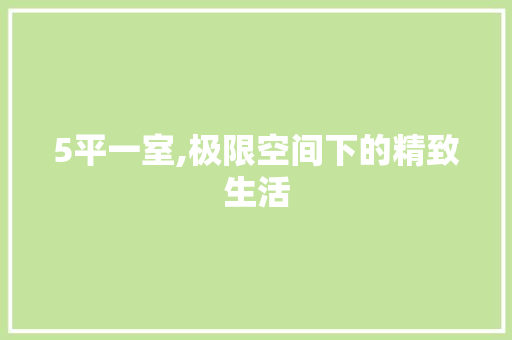 5平一室,极限空间下的精致生活