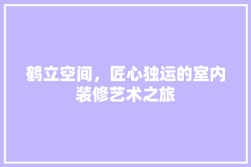 鹤立空间，匠心独运的室内装修艺术之旅 室内设计