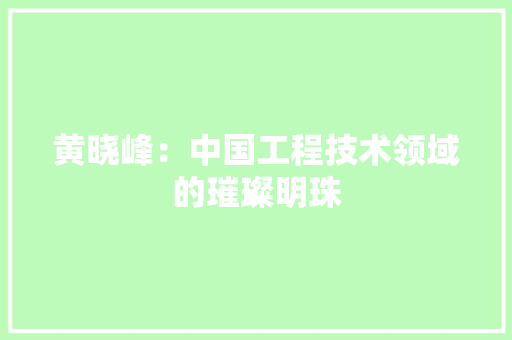 黄晓峰：中国工程技术领域的璀璨明珠