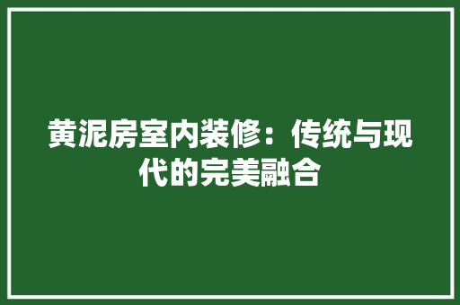 黄泥房室内装修：传统与现代的完美融合 室内设计