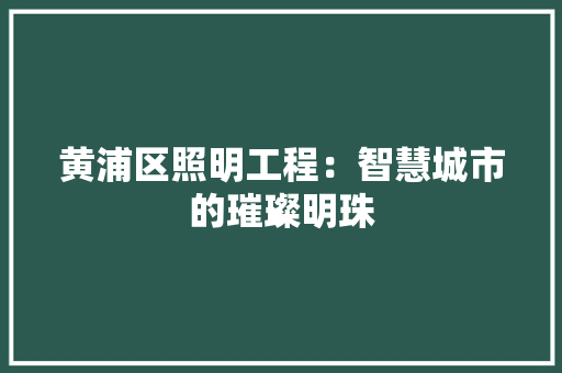 黄浦区照明工程：智慧城市的璀璨明珠