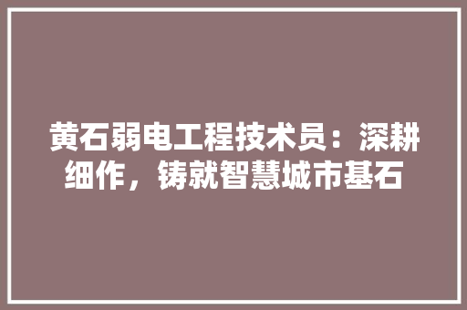 黄石弱电工程技术员：深耕细作，铸就智慧城市基石