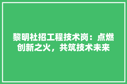 黎明社招工程技术岗：点燃创新之火，共筑技术未来 室内设计