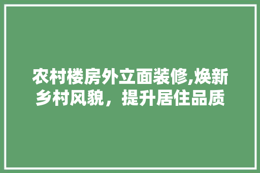农村楼房外立面装修,焕新乡村风貌，提升居住品质