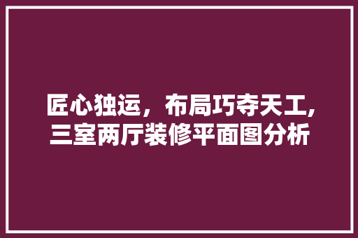 匠心独运，布局巧夺天工,三室两厅装修平面图分析 家居装修