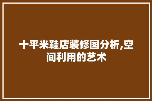 十平米鞋店装修图分析,空间利用的艺术