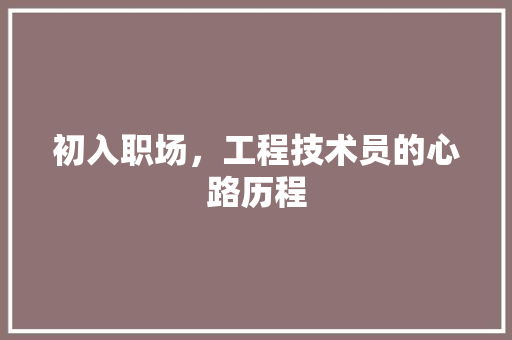 初入职场，工程技术员的心路历程