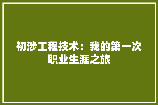 初涉工程技术：我的第一次职业生涯之旅