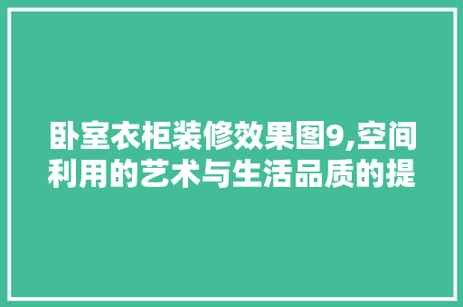 卧室衣柜装修效果图9,空间利用的艺术与生活品质的提升 现代风格装饰