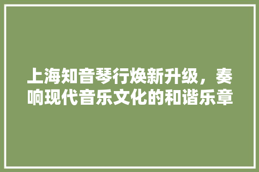 上海知音琴行焕新升级，奏响现代音乐文化的和谐乐章 现代风格装饰