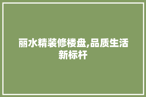 丽水精装修楼盘,品质生活新标杆 现代风格装饰