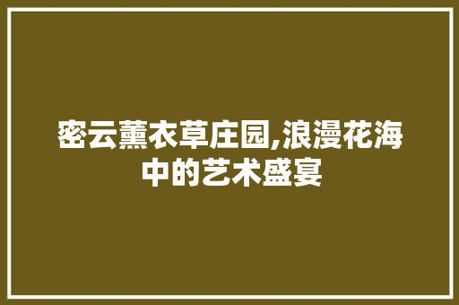 密云薰衣草庄园,浪漫花海中的艺术盛宴