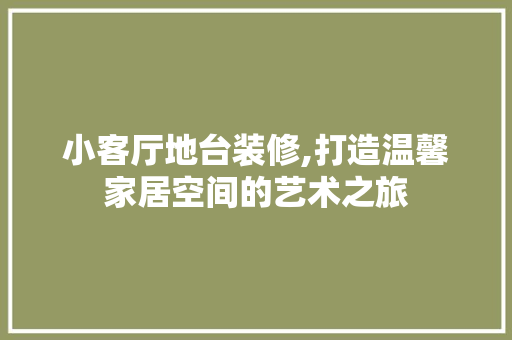 小客厅地台装修,打造温馨家居空间的艺术之旅
