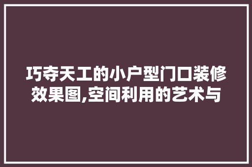 巧夺天工的小户型门口装修效果图,空间利用的艺术与智慧 现代风格装饰