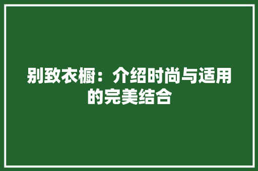 别致衣橱：介绍时尚与适用的完美结合 家居装修
