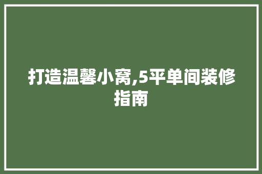打造温馨小窝,5平单间装修指南