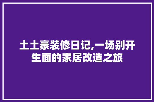 土土豪装修日记,一场别开生面的家居改造之旅