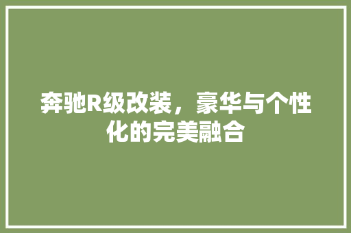 奔驰R级改装，豪华与个性化的完美融合