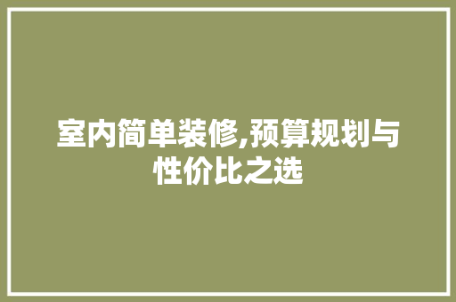 室内简单装修,预算规划与性价比之选 客厅装修