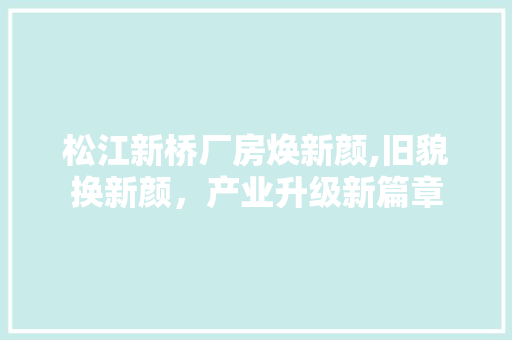 松江新桥厂房焕新颜,旧貌换新颜，产业升级新篇章