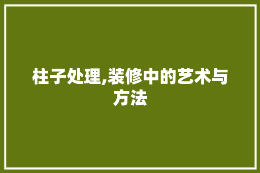 柱子处理,装修中的艺术与方法 现代风格装饰