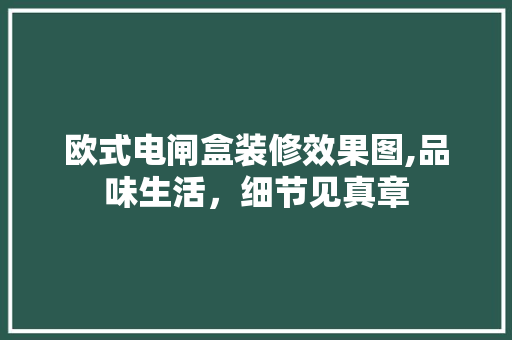 欧式电闸盒装修效果图,品味生活，细节见真章 室内设计