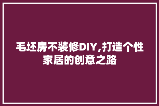 毛坯房不装修DIY,打造个性家居的创意之路