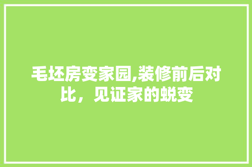 毛坯房变家园,装修前后对比，见证家的蜕变