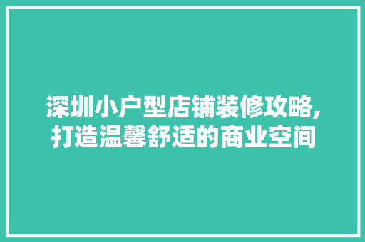 深圳小户型店铺装修攻略,打造温馨舒适的商业空间 卧室装修